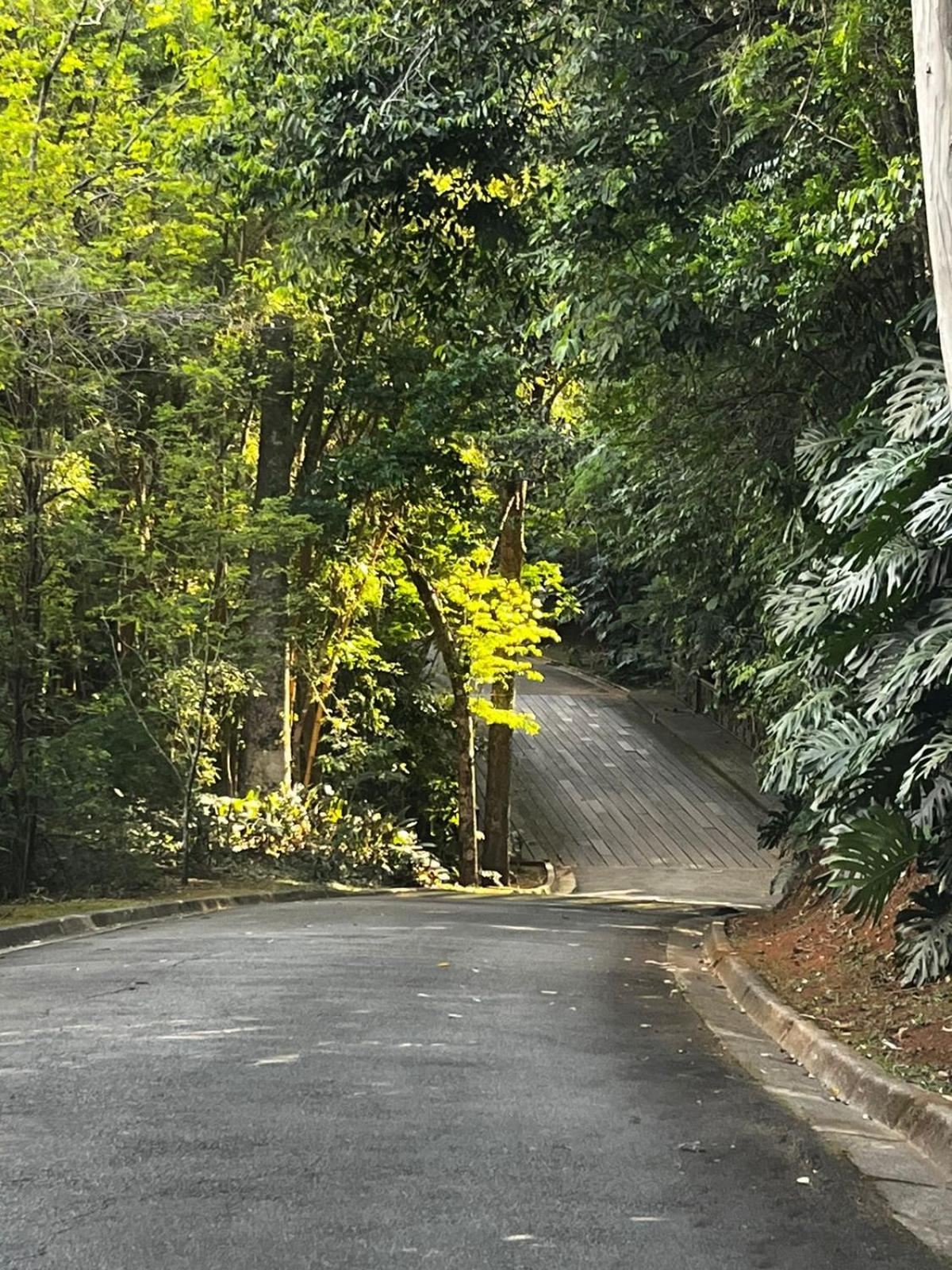 Maravilhoso Studio - Granja Brasil Itaipava Petropolis  Ngoại thất bức ảnh