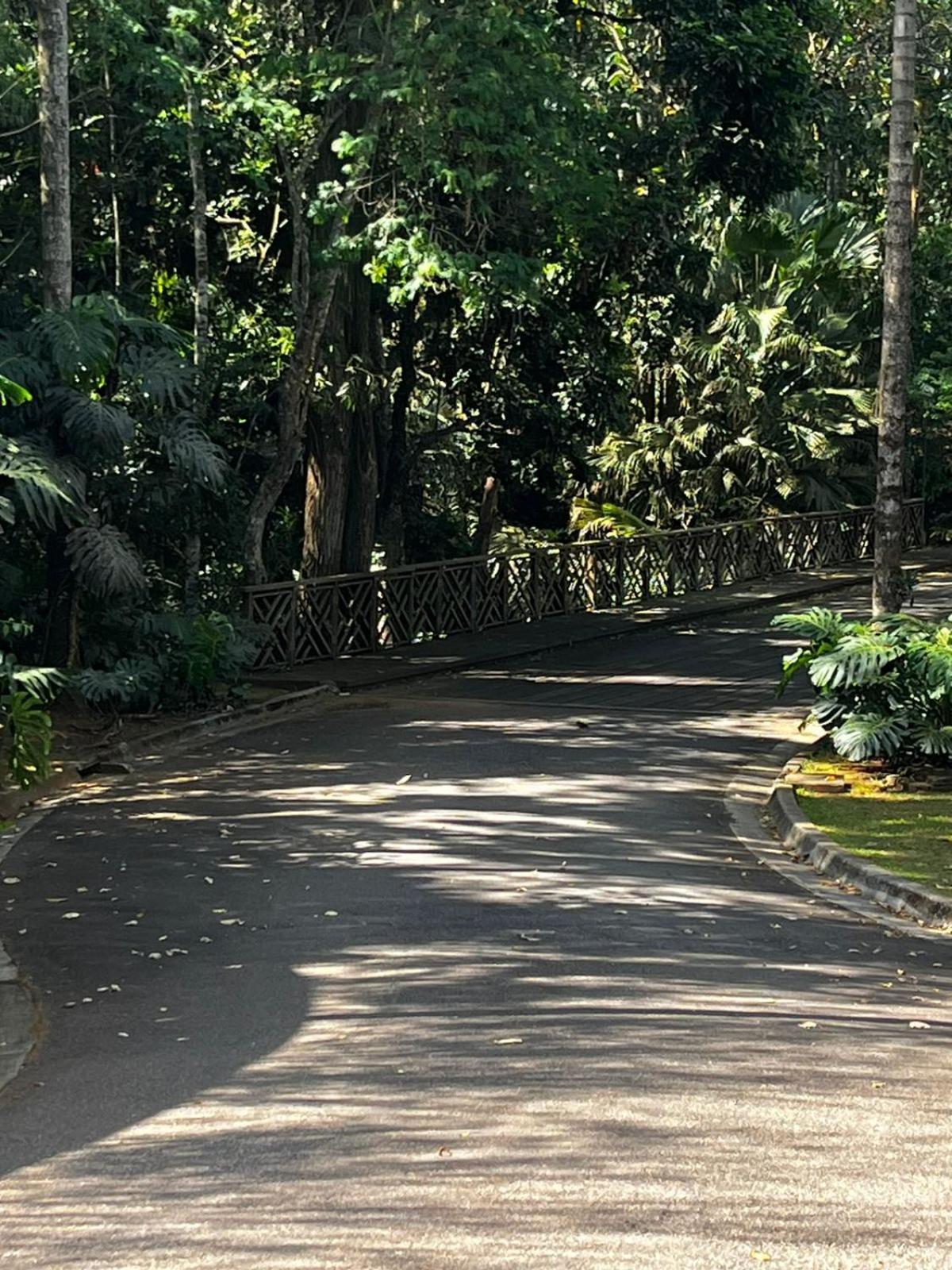 Maravilhoso Studio - Granja Brasil Itaipava Petropolis  Ngoại thất bức ảnh
